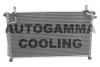 AUTOGAMMA 102731 Condenser, air conditioning